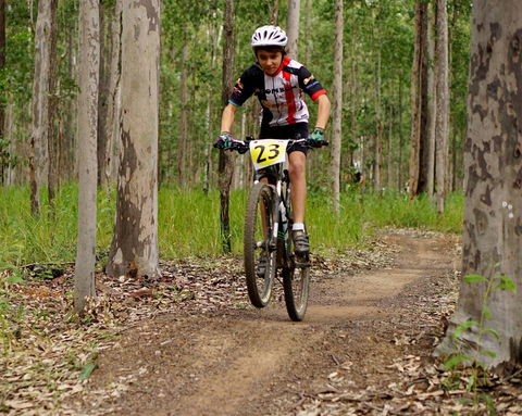Bom Bom State Forest Mountain Bike Trails - Accommodation NT 1