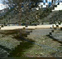 Bombala Platypus Reserve - Accommodation NT