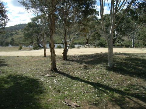 Bombala Platypus Reserve - Accommodation NT 0