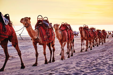 Broome And The Kimberley Coast - Accommodation NT 0