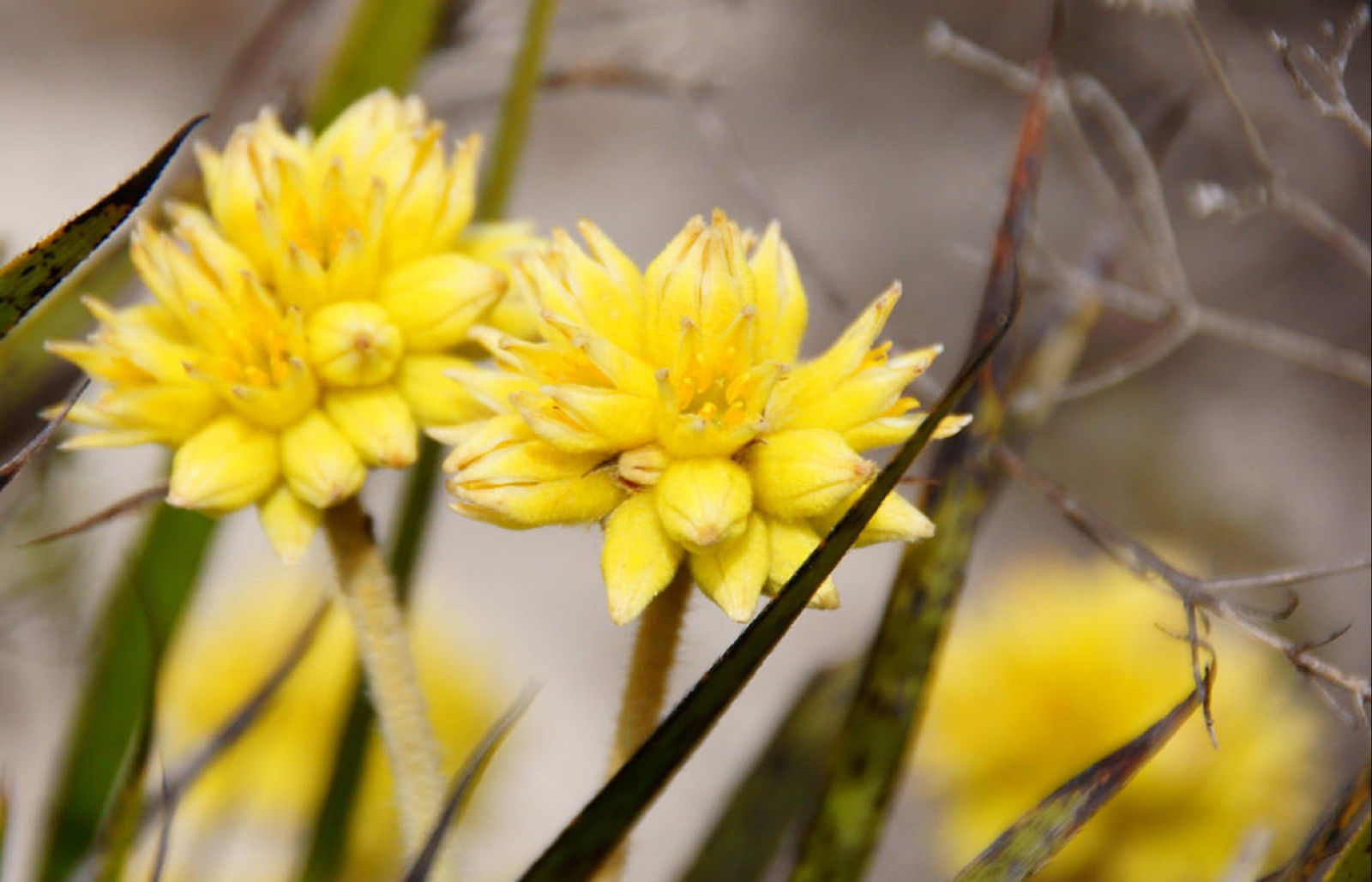 Yathroo WA Accommodation NT