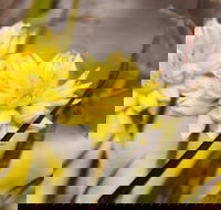 Cataby - Accommodation NT