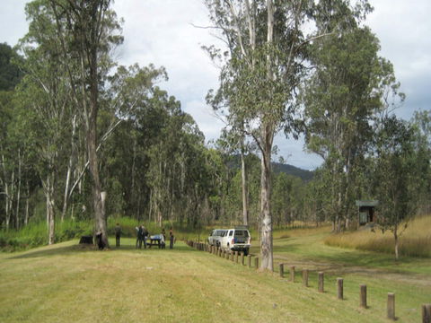 Chaelundi National Park - Accommodation NT 0