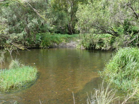 Chaelundi National Park - Accommodation NT 2