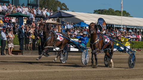 Club Menangle - Accommodation NT 2