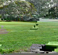Cottonwood Glen Picnic Area - Accommodation NT