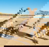 Diamond Head Beach - Accommodation NT