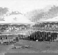 Don Dorrigo and Guy Fawkes Historical Society Museum - Accommodation NT