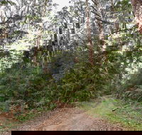 End Peak walking track - Accommodation NT