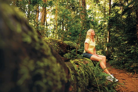 Explore The Mackay Region In Three Days - Accommodation NT 1