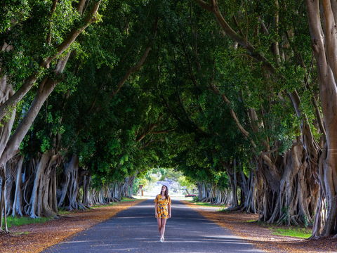 Fig Tree Avenue - Accommodation NT 0