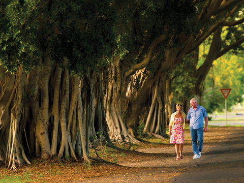 Fig Tree Avenue - Accommodation NT 1