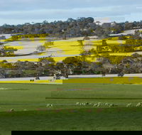 Fini Olives - Accommodation NT