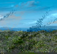 Forest Walking Track Crowdy Bay National Park - Accommodation NT