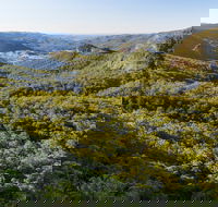 Gold Coast Hinterland Great Walk - Accommodation NT