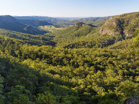 Gold Coast Hinterland Great Walk - Accommodation NT 0
