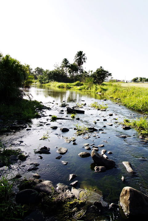 Gooseponds, North Mackay - Accommodation NT 2