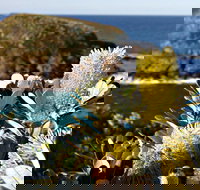 Green Island Walking Track - Accommodation NT