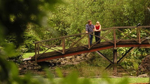 Hamilton - Accommodation NT 1