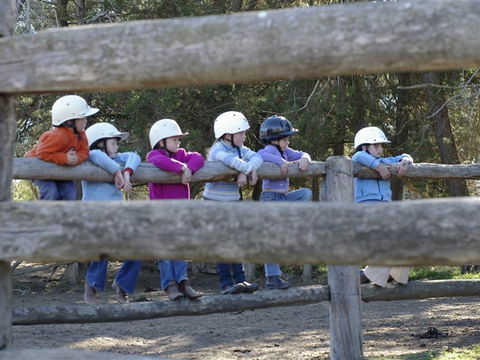 Harlow Park Horse Riding - Accommodation NT 0