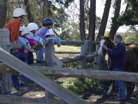 Harlow Park Horse Riding - Accommodation NT 2