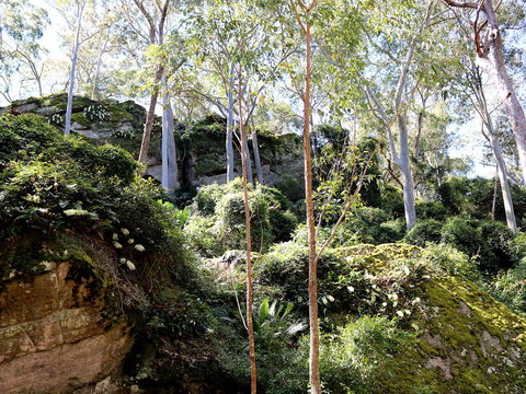 Haunted Point Loop Walk - Accommodation NT 0