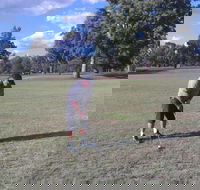 Inverell Golf Club - Accommodation NT