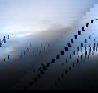 Jounama Creek Walking Track - Accommodation NT