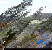 Kinchina Conservation Park - Accommodation NT