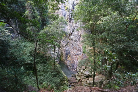 Kondalilla Falls Circuit, Kondalilla National Park - NT Tourism 0