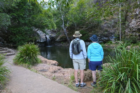Kondalilla Falls Circuit, Kondalilla National Park - NT Tourism 1