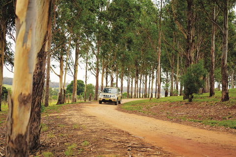 Kumbia - Accommodation NT 0