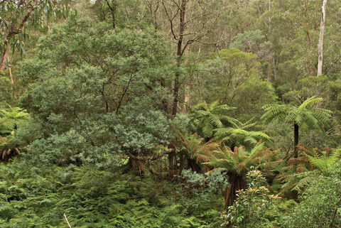 Lind National Park - Accommodation NT 0