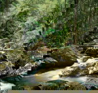 Maleny - Accommodation NT