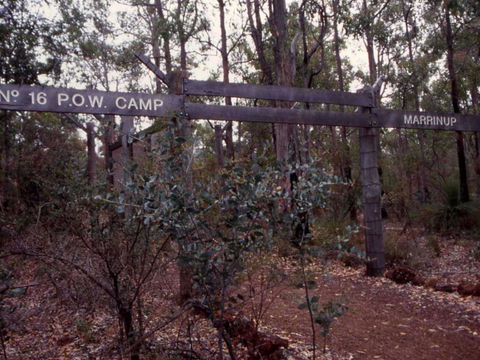 Marrinup Trail, Dwellingup - Accommodation NT 0