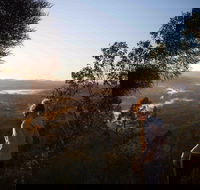 Mount Arthur Reserve - Accommodation NT