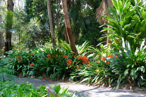 North Coast Regional Botanic Garden - Accommodation NT 1
