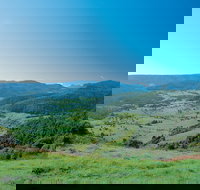 Numinbah Section Springbrook National Park - Accommodation NT