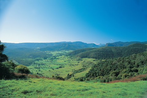 Numinbah Section, Springbrook National Park - NT Tourism 0