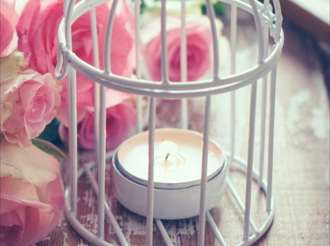 Passionfish Candles - NT Tourism 1