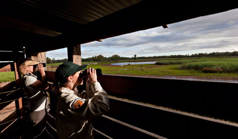 Reed Beds Bird Hide Boardwalk - Accommodation NT 0