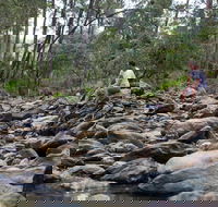 Rocksberg Park Heritage Reserve - Accommodation NT