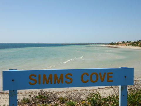 Simms Cove Lookout And Beach, Moonta Bay - Accommodation NT 0