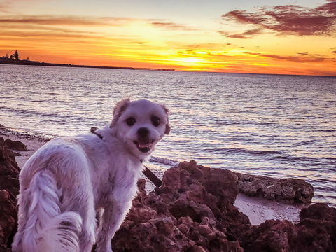 Simms Cove Lookout And Beach, Moonta Bay - Accommodation NT 1
