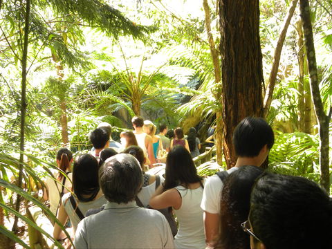 Tamborine Mountain Glow Worm Tours - Accommodation NT 1