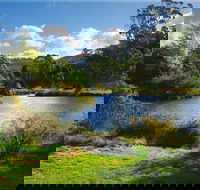 Tasmanian Arboretum Inc. - The - Accommodation NT
