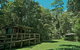 Terania Creek Picnic Area - thumb 0