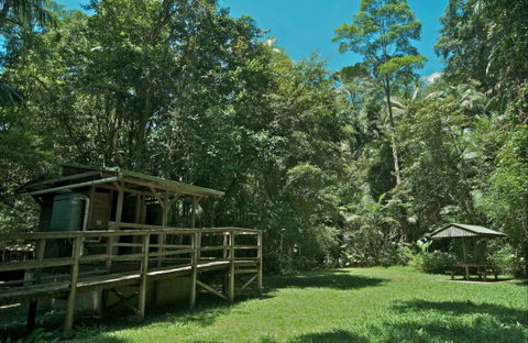 Terania Creek Picnic Area - Accommodation NT 0