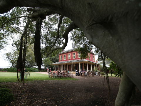 Tocal Homestead - Accommodation NT 1