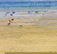 Towra Beach - Accommodation NT